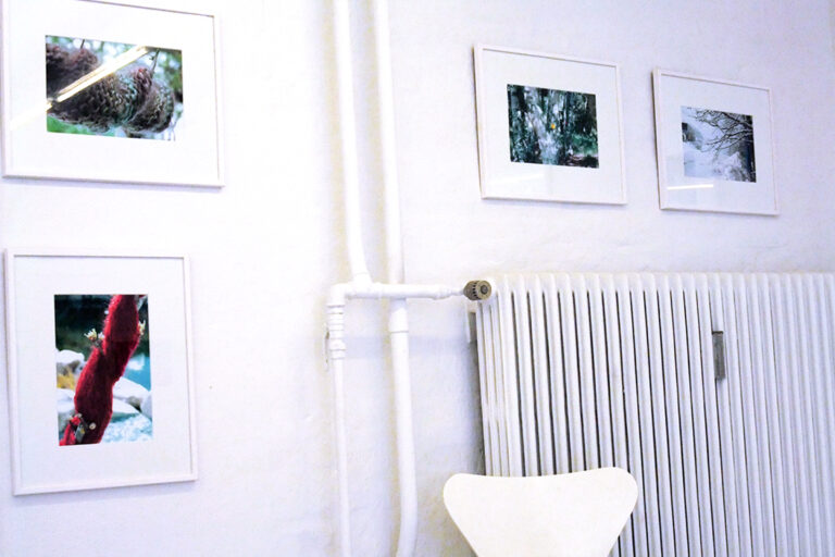 2011_0612Diverse0084-1